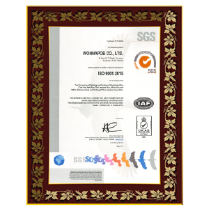 ISO 9001