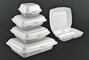 PS FOAM (Polystyrene Foam)