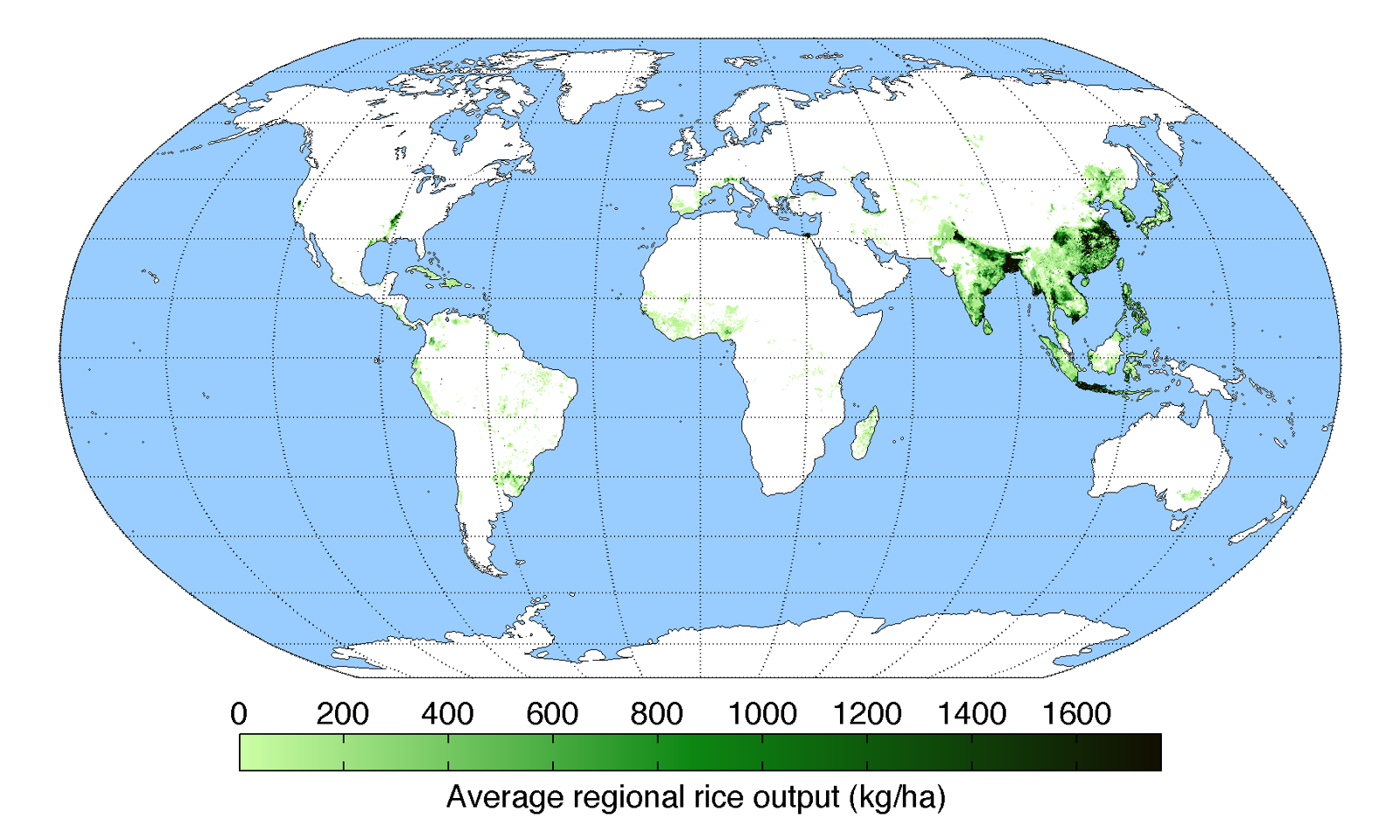 泰国种植