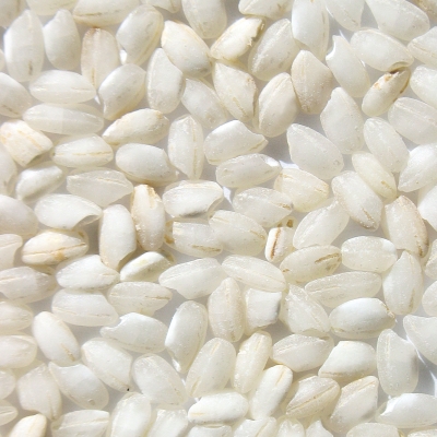 米粒是短条形