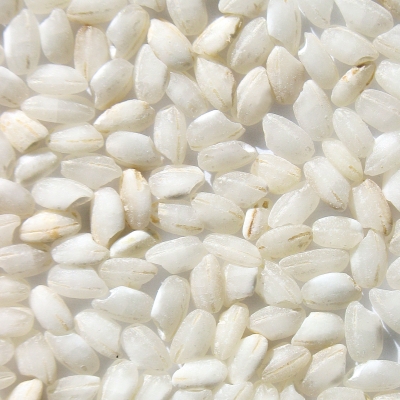 Short Grain Rice